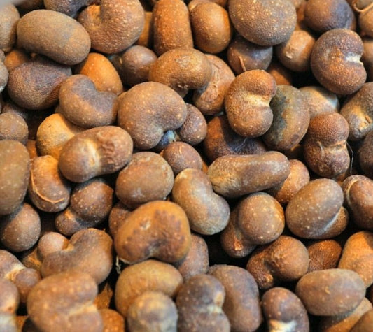 Adansonia digitata seeds