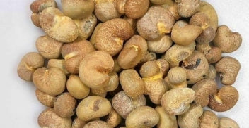 Adansonia fony seeds