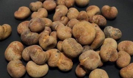 Adansonia madagascariensis seeds
