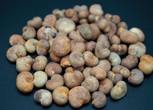 Adansonia rubrostipa seeds