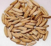 Adenium God Tung Mon seeds