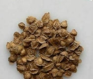 Boswellia aspleniifolia x nana seeds