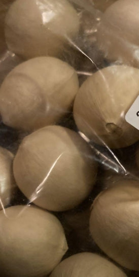 Cycas angulata seeds