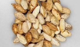 Cyphostemma mixed collection seeds