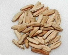 Adenium obesum Kenya seeds