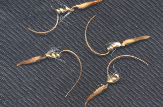 Monsonia spinosa seeds