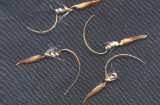 Monsonia spinosa seeds