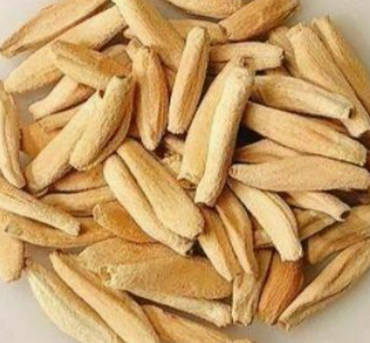 Adenium Omega seeds