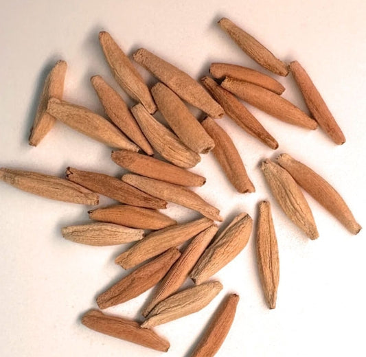 Adenium arabicum 'Godji' seeds