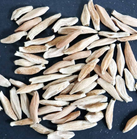 Adenium socotranum seeds