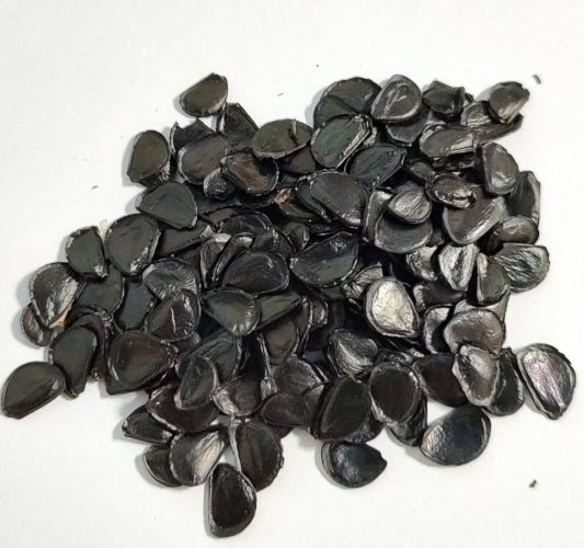 Agave potatorum seeds