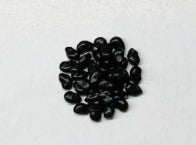 Ferocactus pottsii seeds