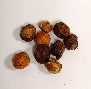 Commiphora africana v glaucidula seeds