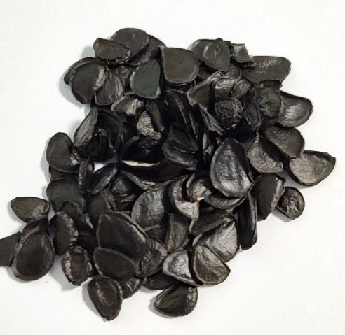 Agave chrysantha seeds