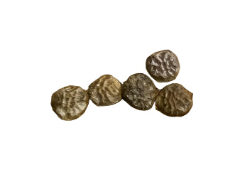 Adenia olaboensis seeds