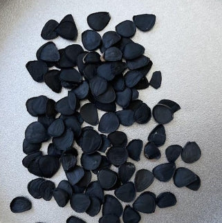 Yucca Rigida seeds