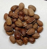 Sterculia spp. seeds