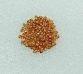 Delosperma napiforme seeds