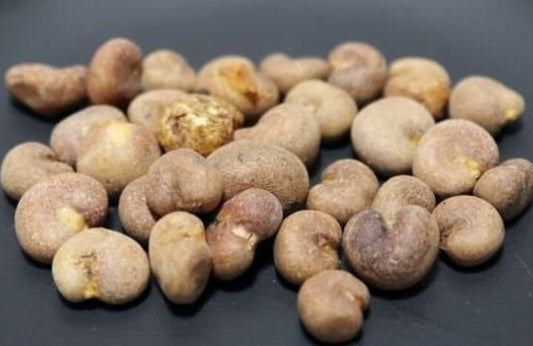 Adansonia za seeds