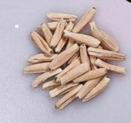Adenium White House seeds