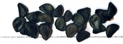 Agave parryi ssp. parryi seeds