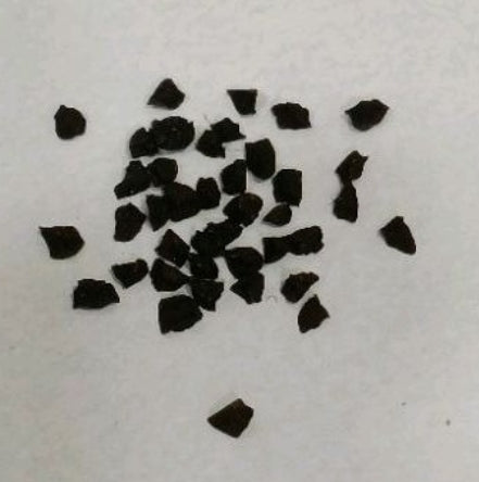 Bulbine bruynsii seeds