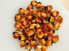 Bursera stenophylla seeds