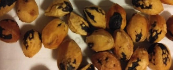 Commiphora africana seeds