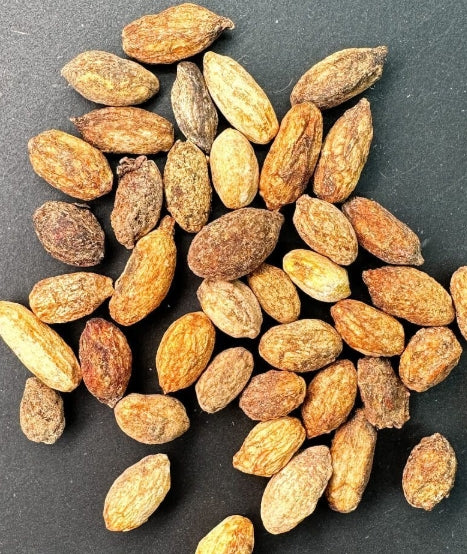 Cyphostemma uter (Namibia form) seeds
