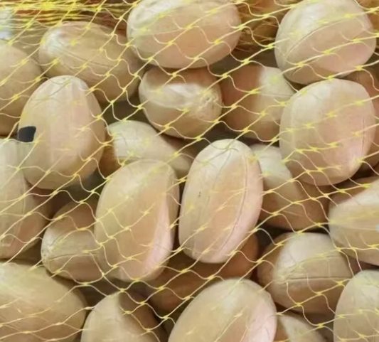 Encephalartos eugene-maraisii seeds