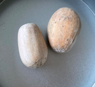 Encephalartos manikensis seeds
