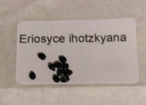 Eriosyce ihotzkyana seeds