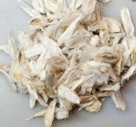 Fouquieria splendens seeds