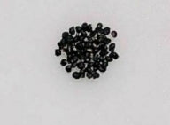 Mammillaria plumosa seeds