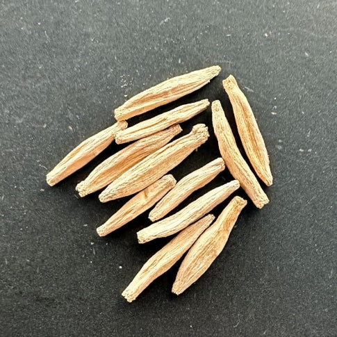 Adenium dhofarense seeds