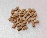 Monadenium magnificum seeds