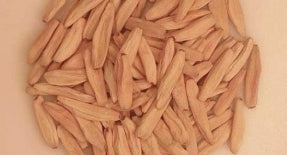 Adenium Riza seeds