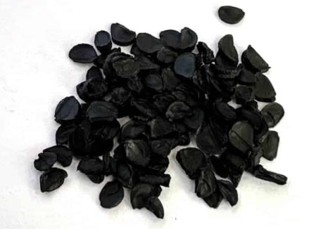 Agave Victoriae-reginae seeds