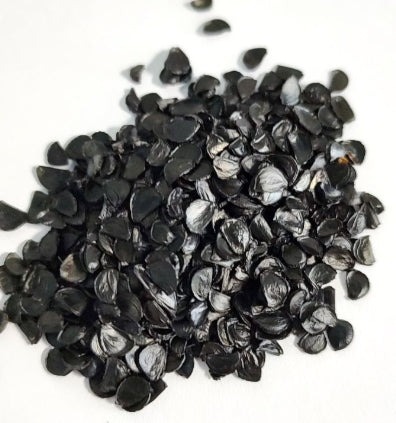 Agave Titanota Blue seeds