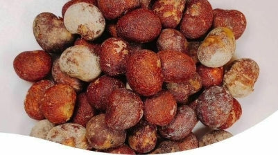 Adansonia grandidieri seeds